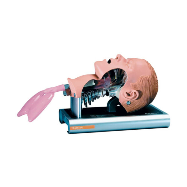 Fantom głowy do nauki intubacji Ambu Airway Management Trainer Fantom głowy do nauki intubacji Ambu Airway Management Trainer