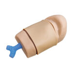 Trenazer-do-konikotomii-Techline-Cric-in-a-Box®-2.jpg Trenazer-do-konikotomii-Techline-Cric-in-a-Box®-2.jpg